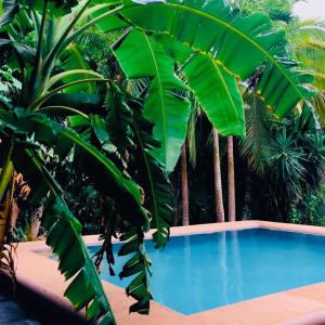 Hostal y Camping Villa Mercedes