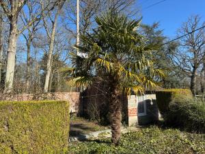 Maisons de vacances Maison de campagne lumineuse spacieuse dans impasse au calme a proximite d'un chateau deux verandas grand jardin cabane pour velos, pres Port en Bessin et Bayeux, proche plages du debarquement : photos des chambres