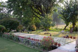 The Pavilion Udaipur - A Luxury Pet Friendly Stay in Udaipur