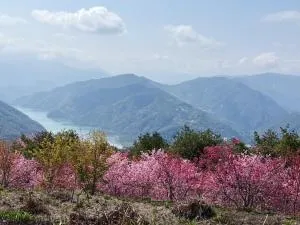 Home Box - Feng-shu-lin