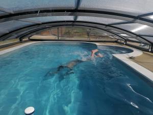Maisons de vacances Ideal pour decouvrir la Vendee - Calme et confort : photos des chambres