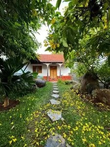 Rollinia by Kilukka Farms - Krishnagiri