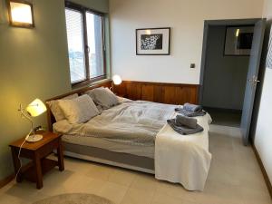 Elegant 3 Alexander Services Apartments luxury four bedroom penthouse