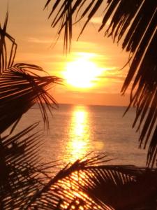 Oliver`s Laguna ECO Lodge Hotel