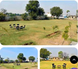 Ranthambore Bagh niwas