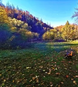Pension im Tal der Stille - Cattenstedt