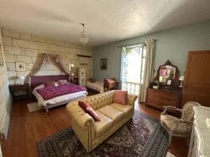 Chateau de la Boussiniere - Mazé