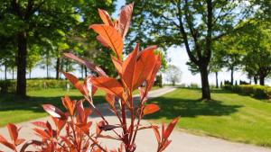 Franz Josefs Tinyhäuser