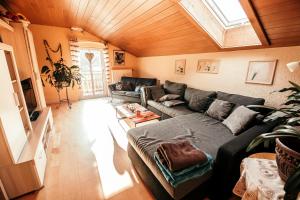 Ferienwohnungen Hauner