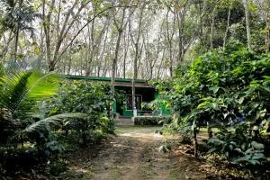 Green Wayanad Homestay - Batheri