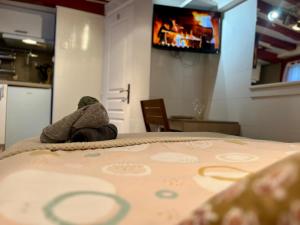 Appartements Tout a pied ! Gare & Vieux Rouen - 367 : photos des chambres