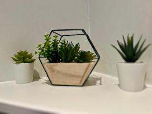 Appartements Tout a pied ! Gare & Vieux Rouen - 367 : photos des chambres