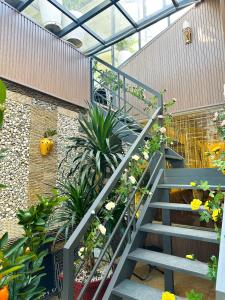 Ngôi Nhà Hạnh Phúc