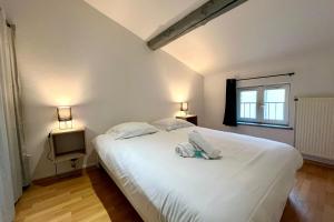 Appartements Nancy Vieille ville Le Duplex de St Epvre : photos des chambres