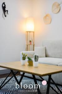 Appartements Nancy Vieille ville elegant F2 tout equipe : photos des chambres