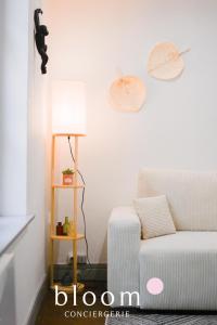 Appartements Nancy Vieille ville elegant F2 tout equipe : photos des chambres