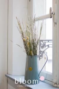 Appartements Nancy Vieille ville elegant F2 tout equipe : Appartement