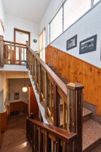 Una Araucaria sul mare