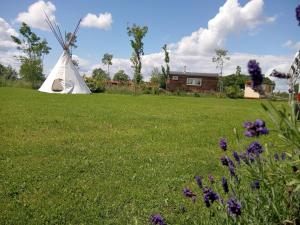 Toplocatie! Moderne en knusse pipowagen Postduif vlakbij Zutphen