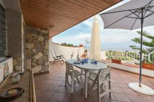 Una Araucaria sul mare - San Giorgio