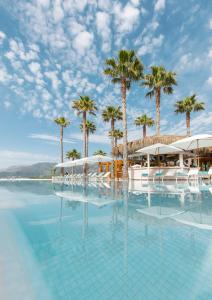 Monte Palm Beach