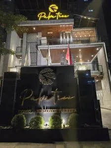 Palm tree suites - Nat Basti