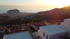 Panoramic Villa with a Pool