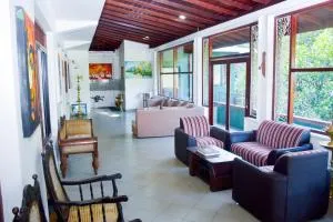 Green Woods Guest - كاندي