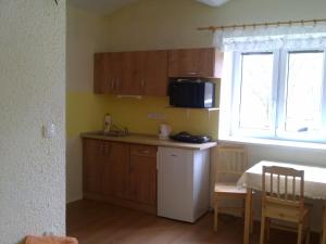 Quadruple Room room in Penzion Apartmány Bečov