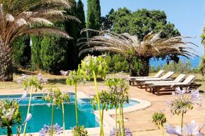 Argelès, Sea View & Pool