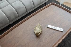 Large Vacation Apartments in the Old Town