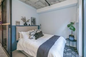 Modern Elegance Sea Point Haven