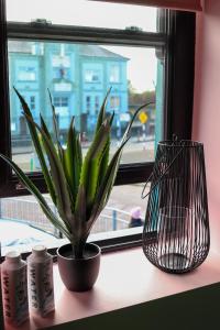 Sunday Street Boutique