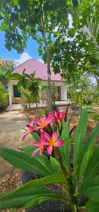 Z Village Lodge Paje