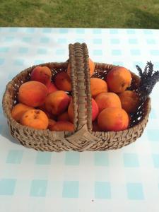B&B / Chambres d'hotes Chambres d'hotes Le Bignon dans les Alpes Mancelles : photos des chambres