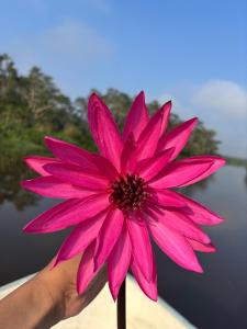 Oshans Home - Guest House - Polhena