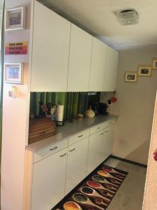 1-room apartmentdirectly by the cable carBernese Alps