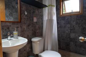 Cabañas Altos de carewe , Lican Ray chile