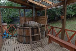 Cabañas Altos de carewe 2, Lican Ray Chile