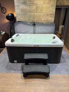 Appartements L-escale en Othe avec jacuzzi : photos des chambres