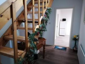 The Morning Star Holiday Home