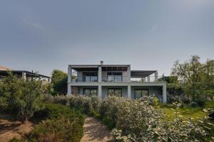 The House before the Lake