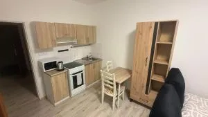 New apartment close to downtown and ZOO - Jáma Jindřich