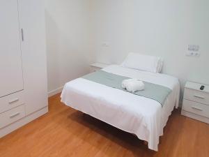 Apartamentos Santander Centro 3000