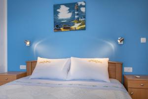 Vila Rimanici, a wonderful and sunny pet friendly villa