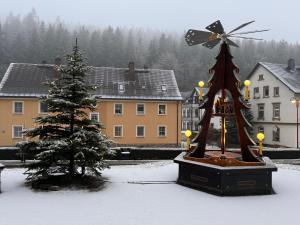 Ellis-Ferienwohnung-Erzgebirge