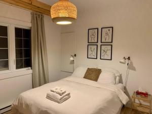 Condos St-Côme - Bohémien, au coeur des activités