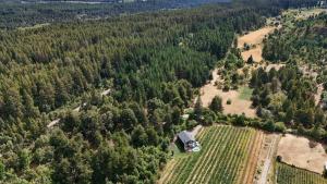 Moderna Casa entre Campo de Frambuesas