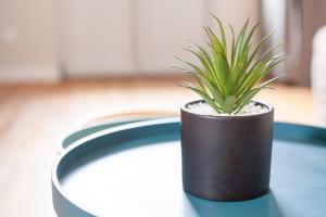 Appartements avec garage prive - Latre Location : photos des chambres