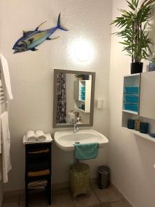 SAINT FLORENT - STUDIO 2 couchages Avec Piscine